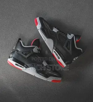 Air Jordan 4s
