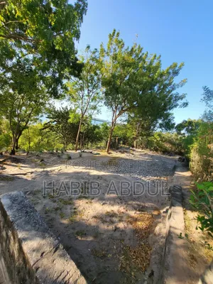 Ocean Front Property for Sale
