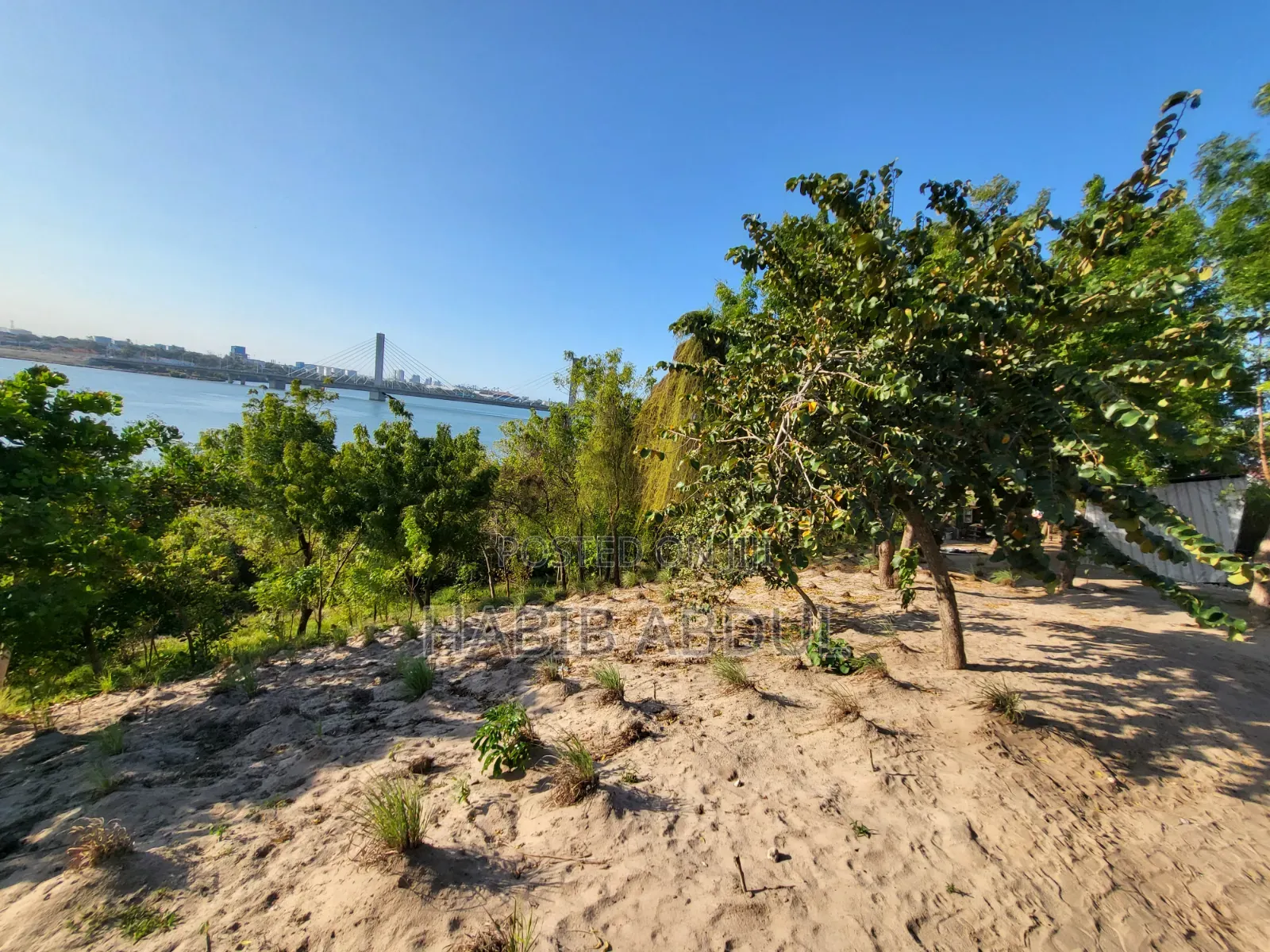 Ocean Front Property for Sale