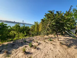 Ocean Front Property for Sale
