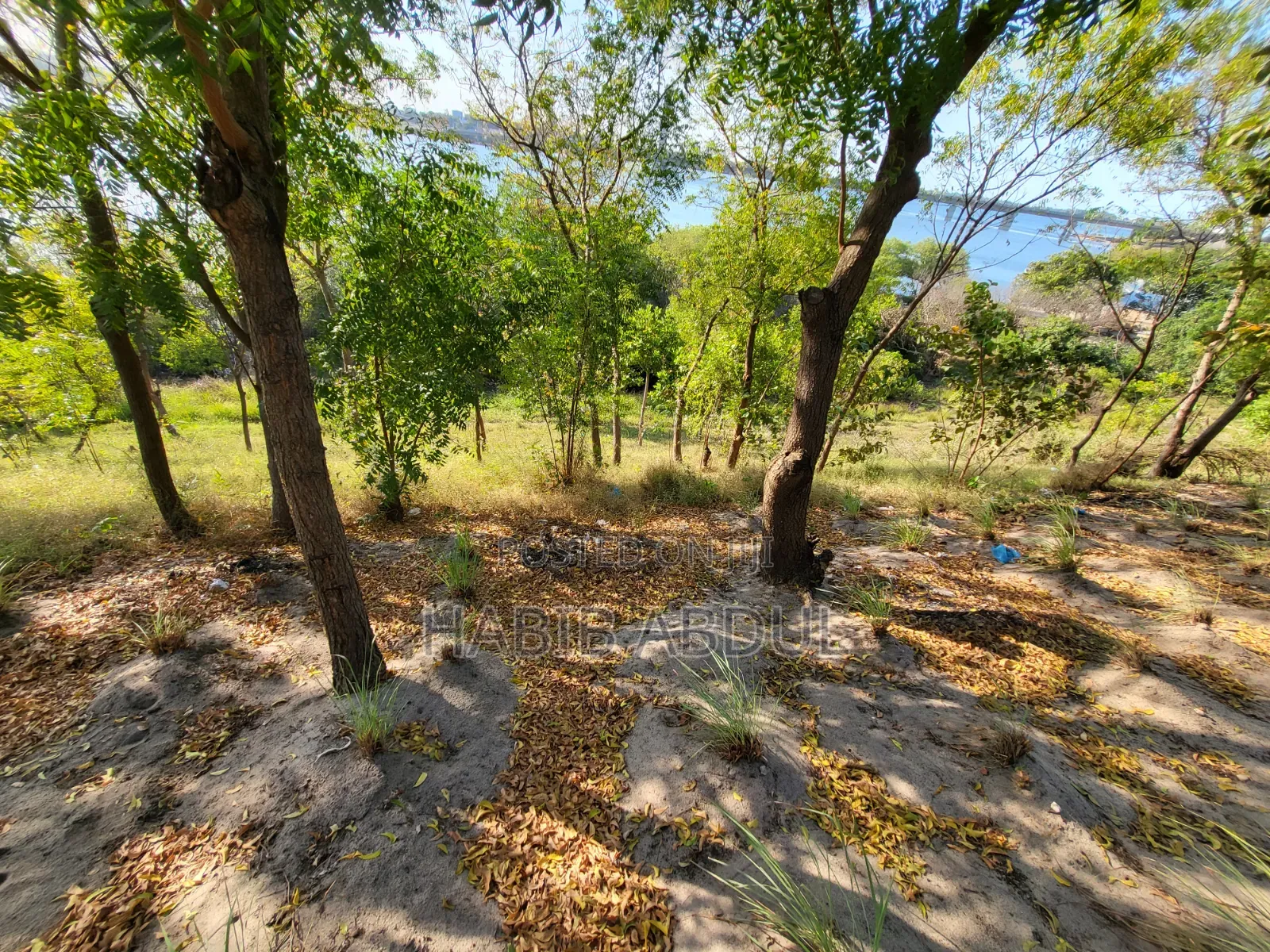 Ocean Front Property for Sale