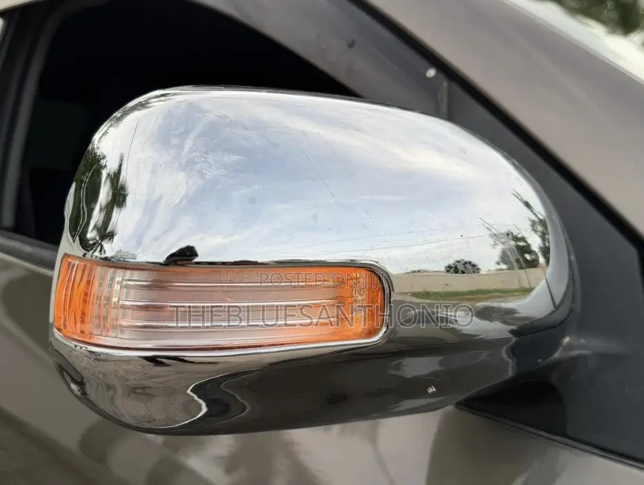 Toyota RAV4 2010 Brown