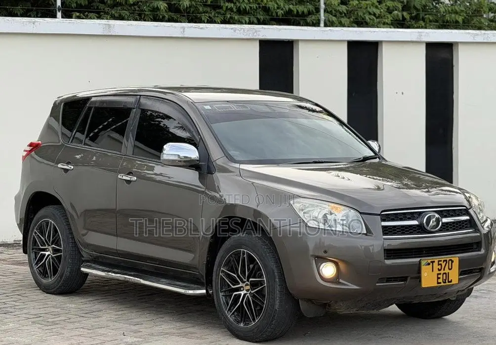 Toyota RAV4 2010 Brown