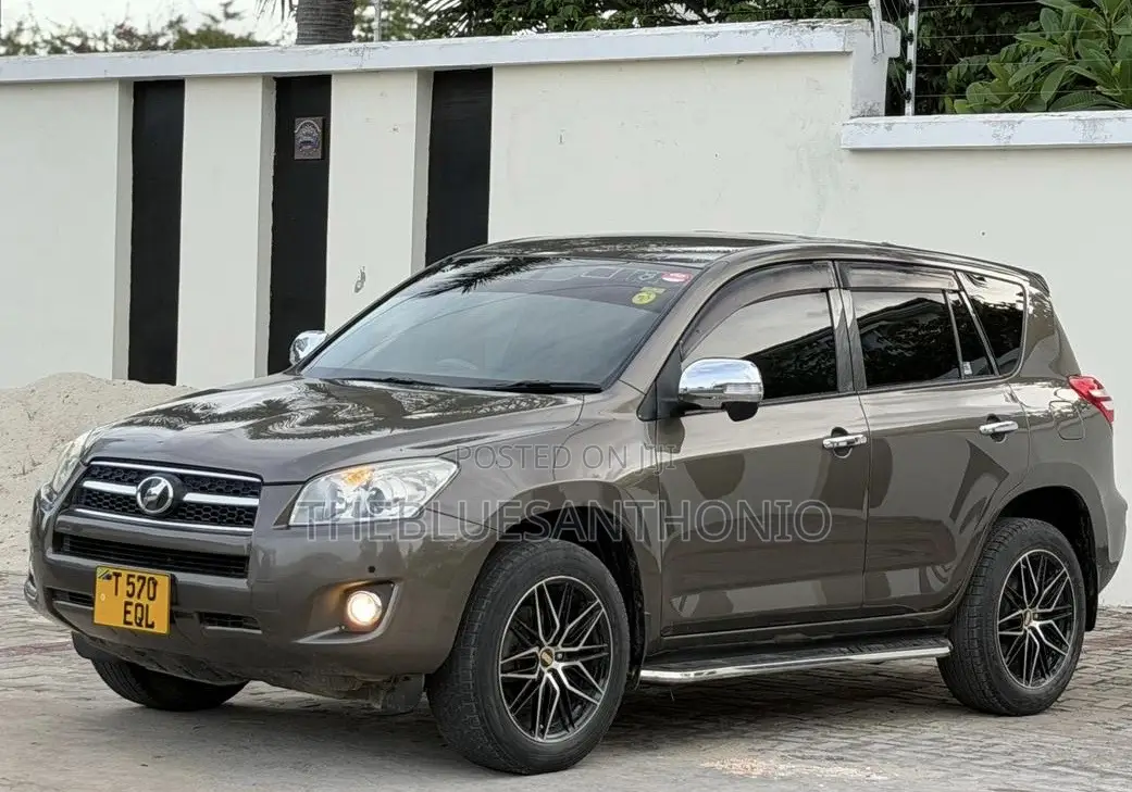 Toyota RAV4 2010 Brown
