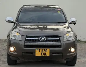 Toyota RAV4 2010 Brown