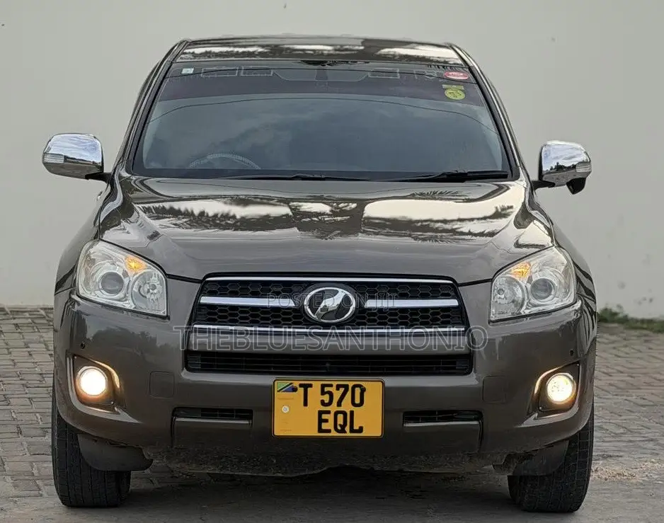 Toyota RAV4 2010 Brown