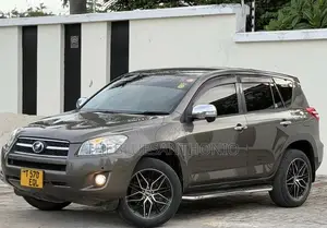 Toyota RAV4 2010 Brown