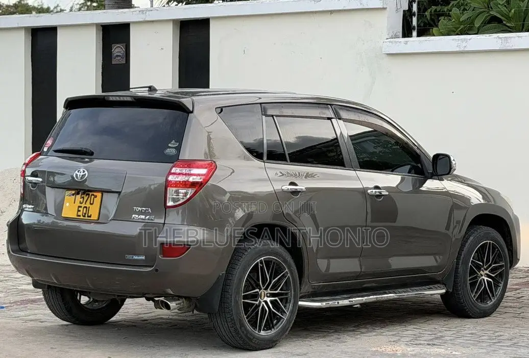 Toyota RAV4 2010 Brown