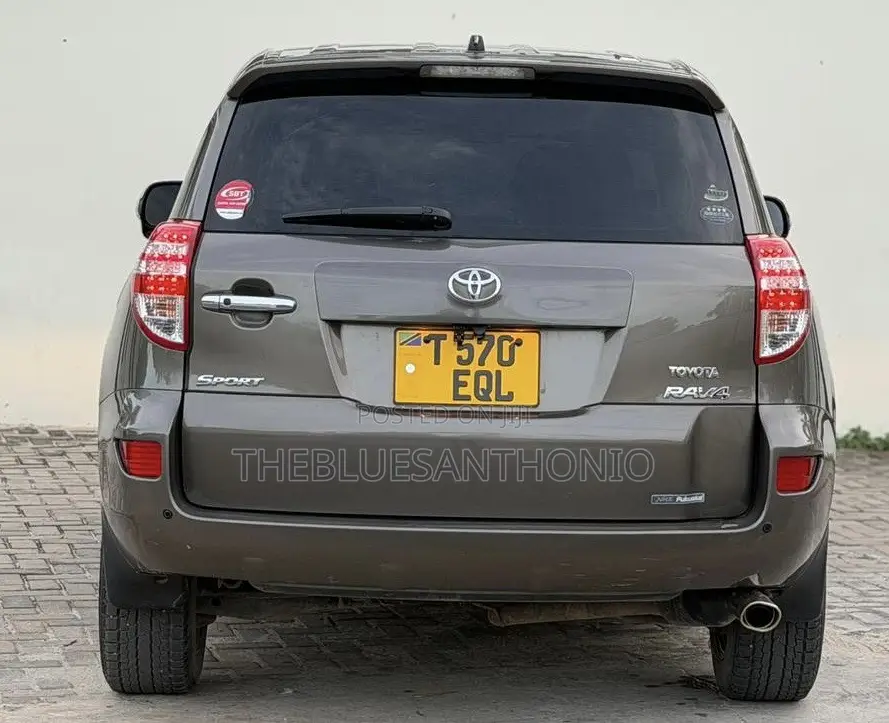 Toyota RAV4 2010 Brown