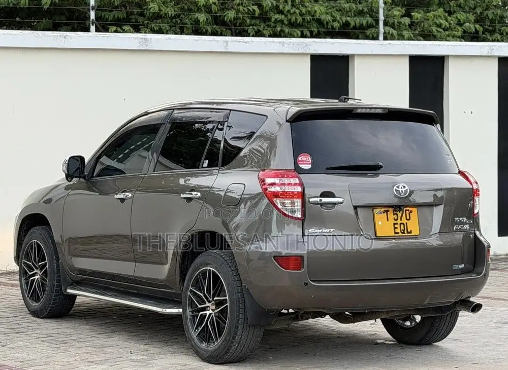 Toyota RAV4 2010 Brown