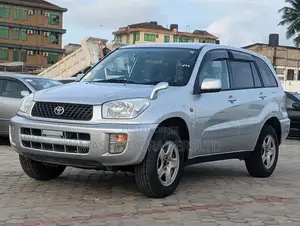 Toyota RAV4 2001 Silver