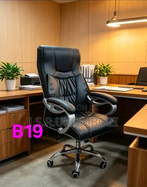 “Executive Office Chair With Premium