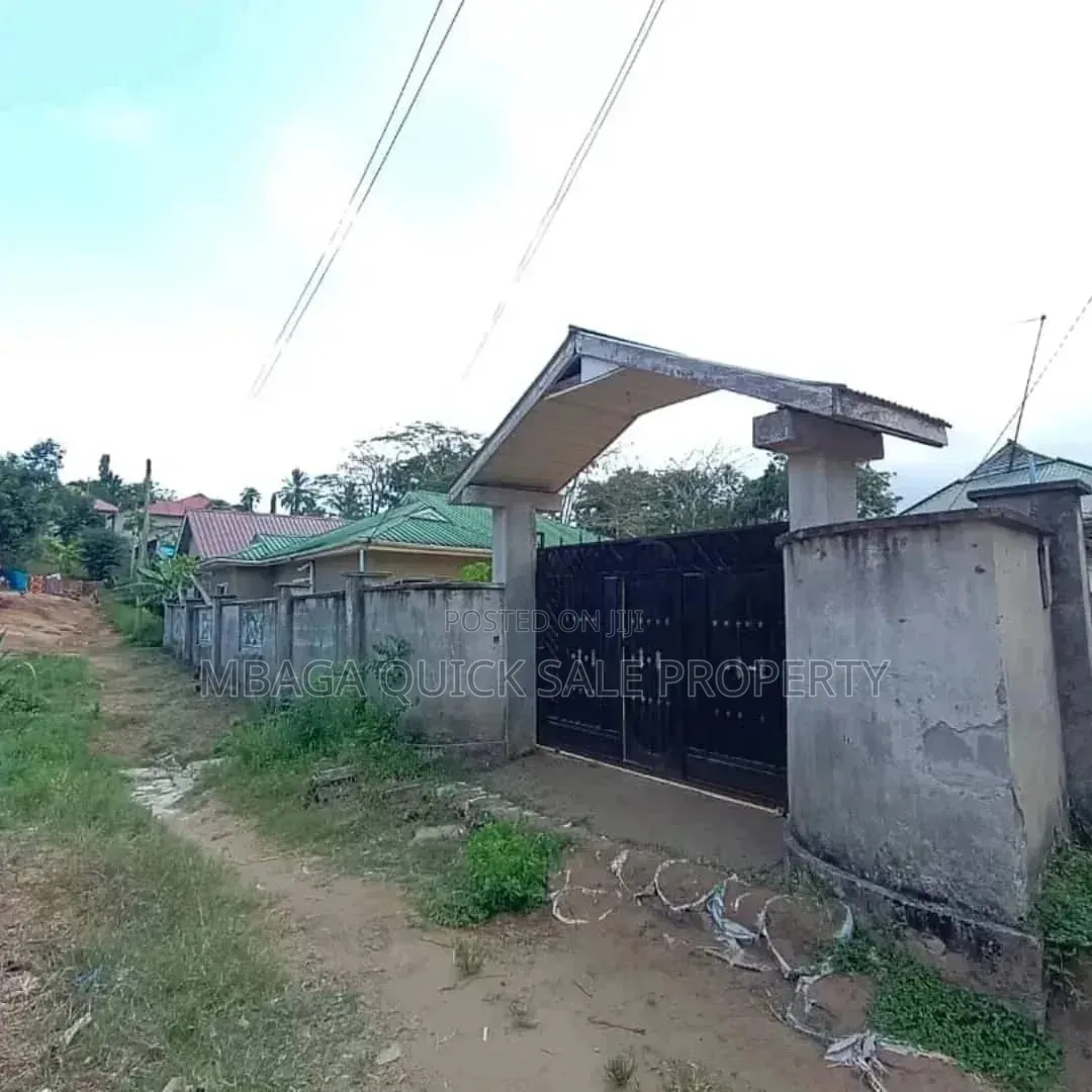 Godown Area SQM 800 for Rent Usd 3.5 Per SQM Located at Buza Kibonge