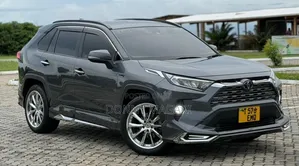 Toyota RAV4 2019 Gray