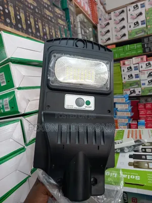 Solar (66) Street Light