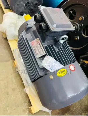 Electric Motor