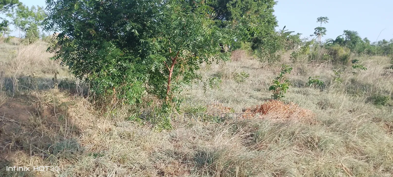 Kiwanja Kinauzwa Mabwepande