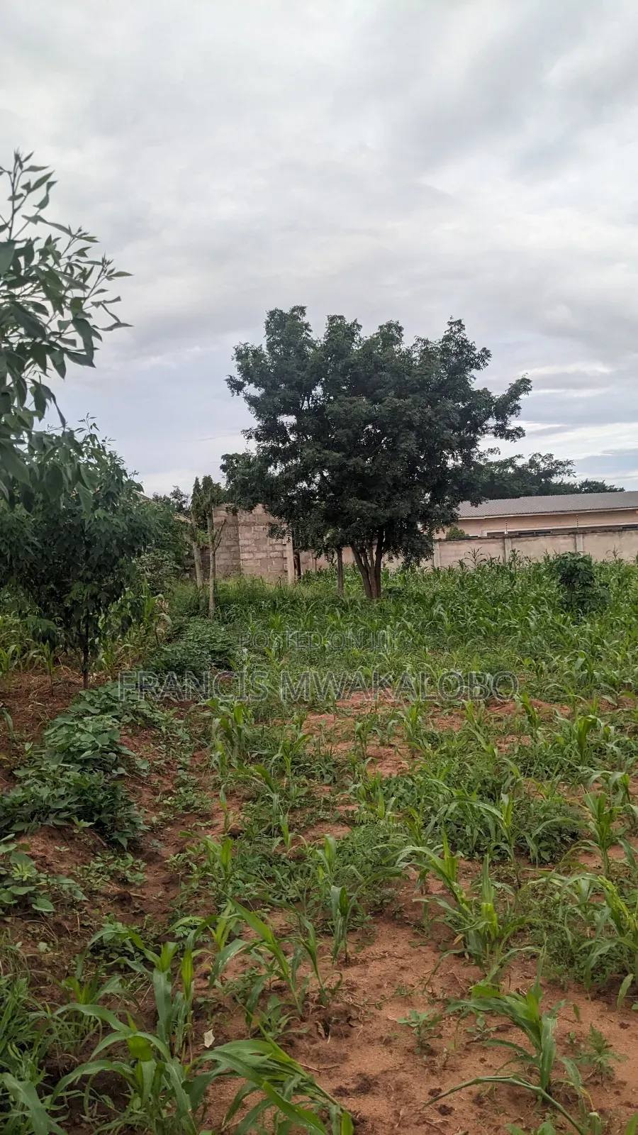 Kiwanja Kinauzwa Kihonda Yespa Morogoro