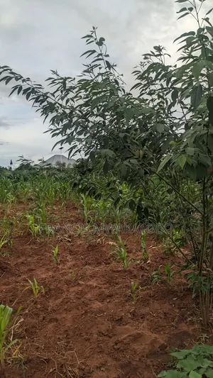 Kiwanja Kinauzwa Kihonda Yespa Morogoro