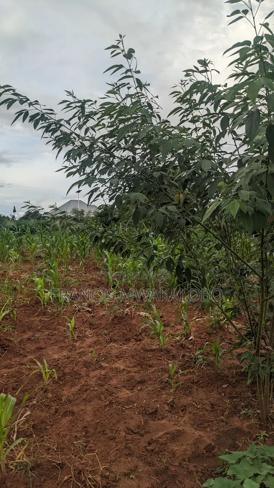 Kiwanja Kinauzwa Kihonda Yespa Morogoro