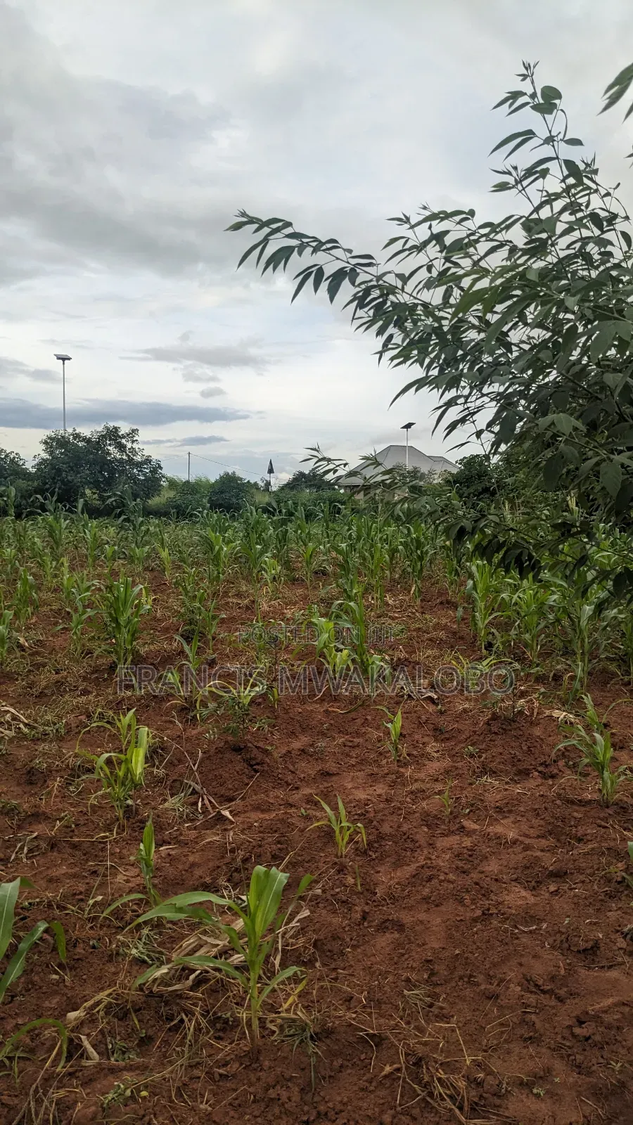 Kiwanja Kinauzwa Kihonda Yespa Morogoro
