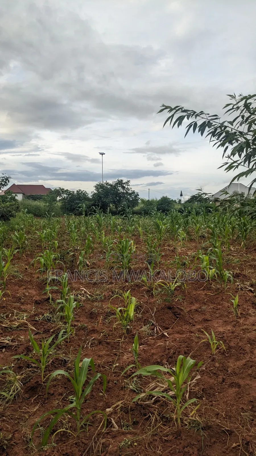 Kiwanja Kinauzwa Kihonda Yespa Morogoro