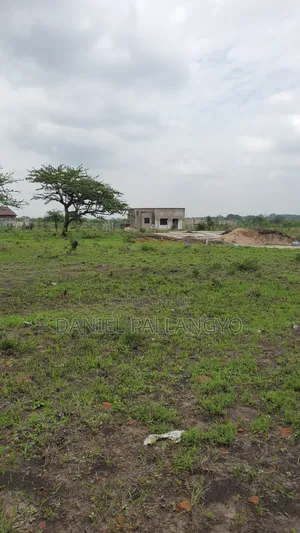 Viwanja Bora Vya Makazi Njoo Kikatiti 2.5m Only