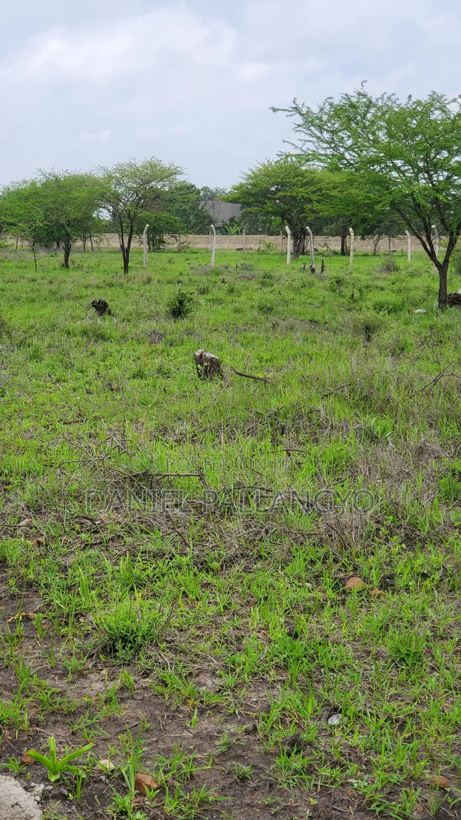 Viwanja Bora Vya Makazi Njoo Kikatiti 2.5m Only