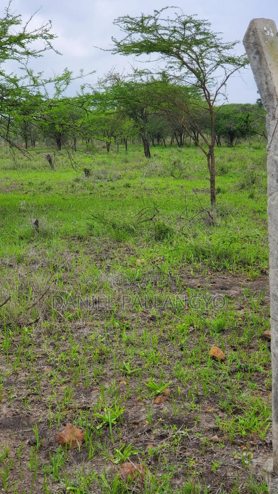 Viwanja Bora Vya Makazi Njoo Kikatiti 2.5m Only