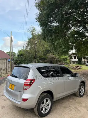 Toyota RAV4 2010 Silver