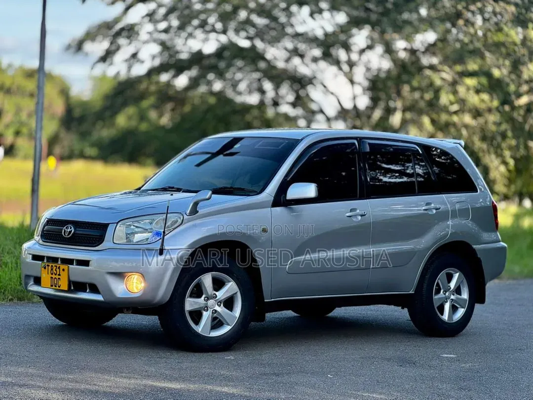 Toyota RAV4 2005 Silver