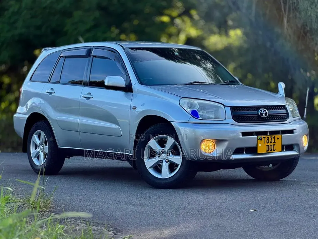 Toyota RAV4 2005 Silver