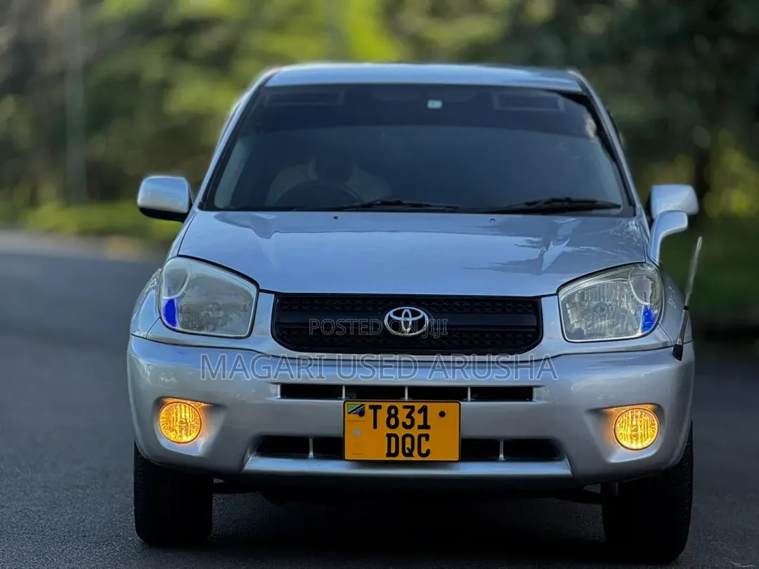 Toyota RAV4 2005 Silver