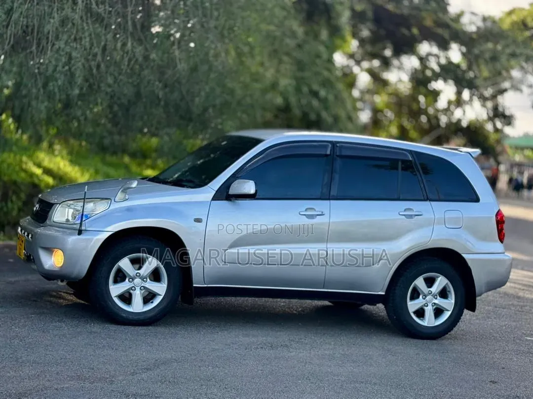 Toyota RAV4 2005 Silver