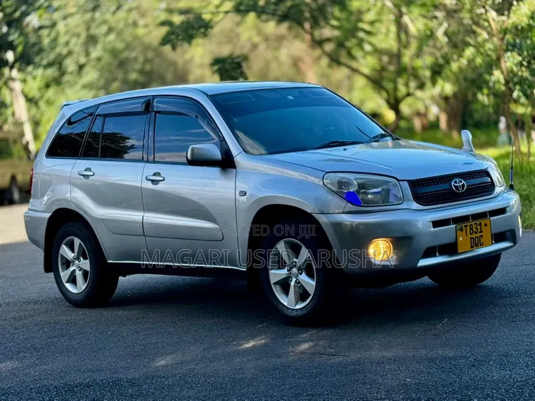 Toyota RAV4 2005 Silver