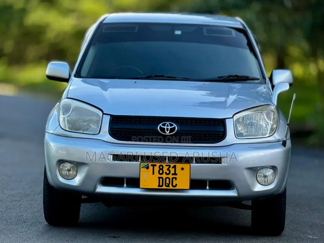 Toyota RAV4 2005 Silver