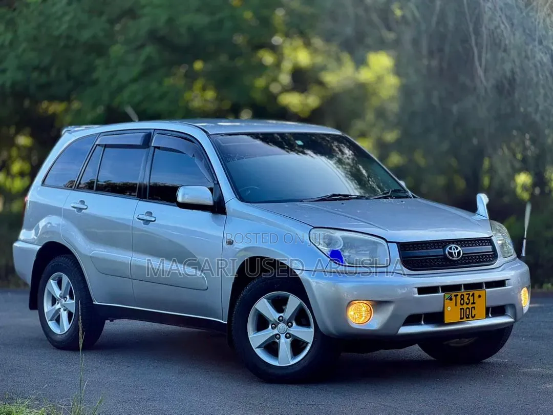 Toyota RAV4 2005 Silver