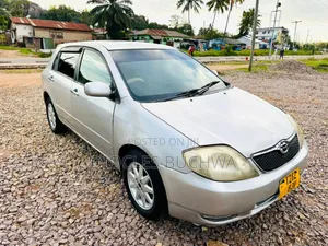 Toyota Corolla RunX 2004 Silver