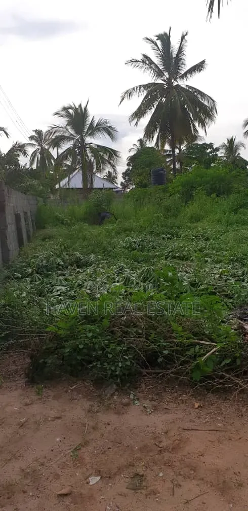 Beach Plot for Sale at Kilwa