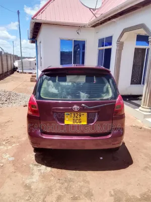 Toyota Corolla Spacio 2004 Maroon
