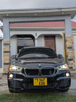 BMW X1 2017 Burgundy