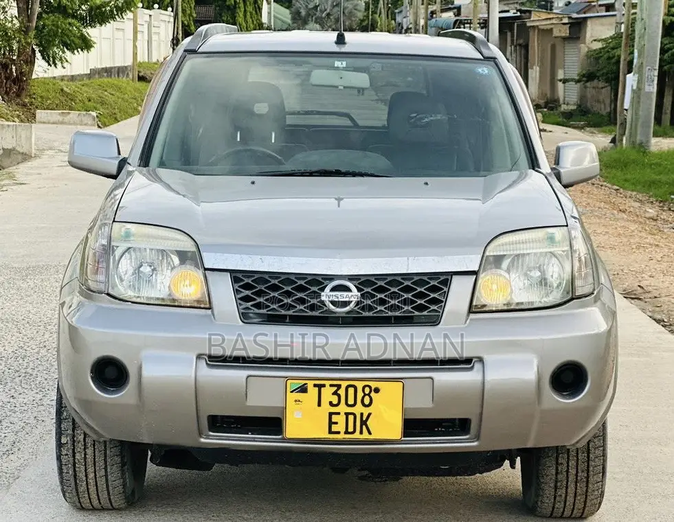 Nissan X-Trail 2.0 2004 Gray