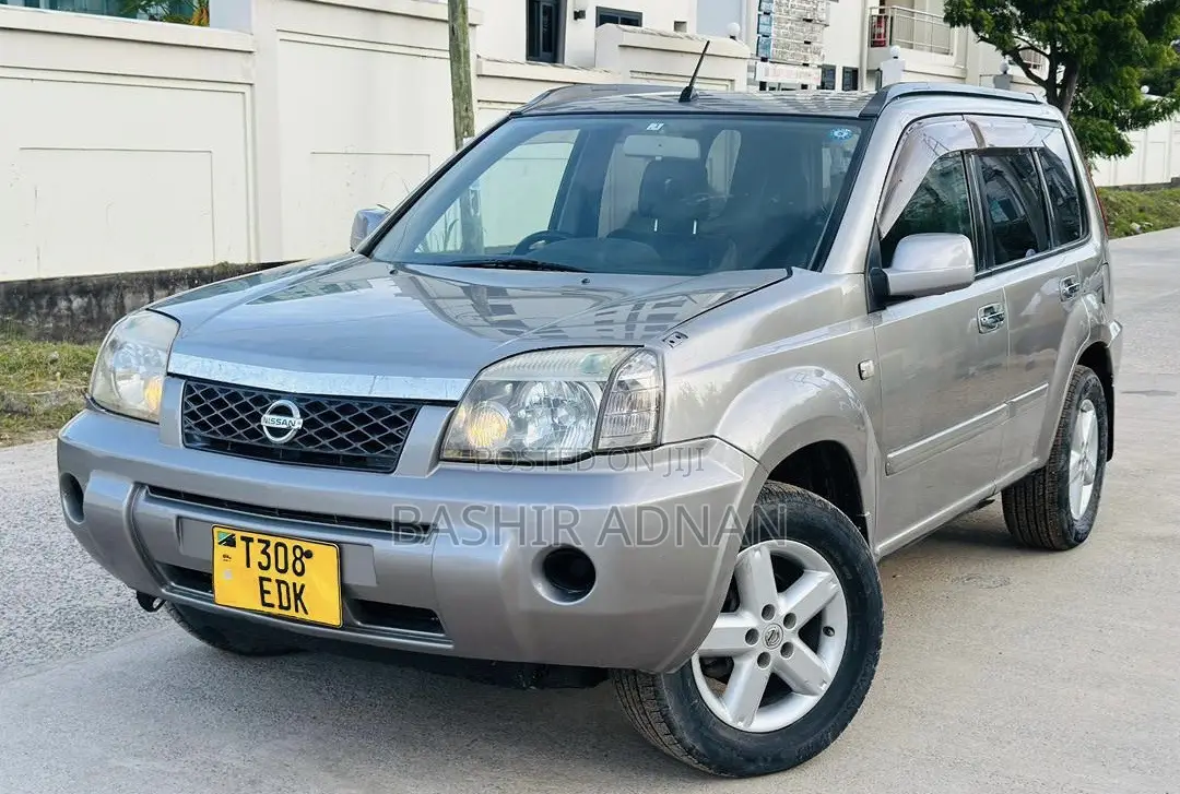Nissan X-Trail 2.0 2004 Gray