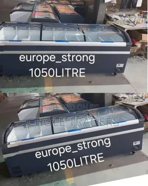 1050-liter Europe Strong Commercial Display Freezer (Showcase Freezer)