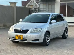 Toyota Allex 2004 Silver