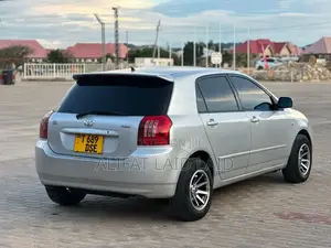 Toyota Allex 2004 Silver