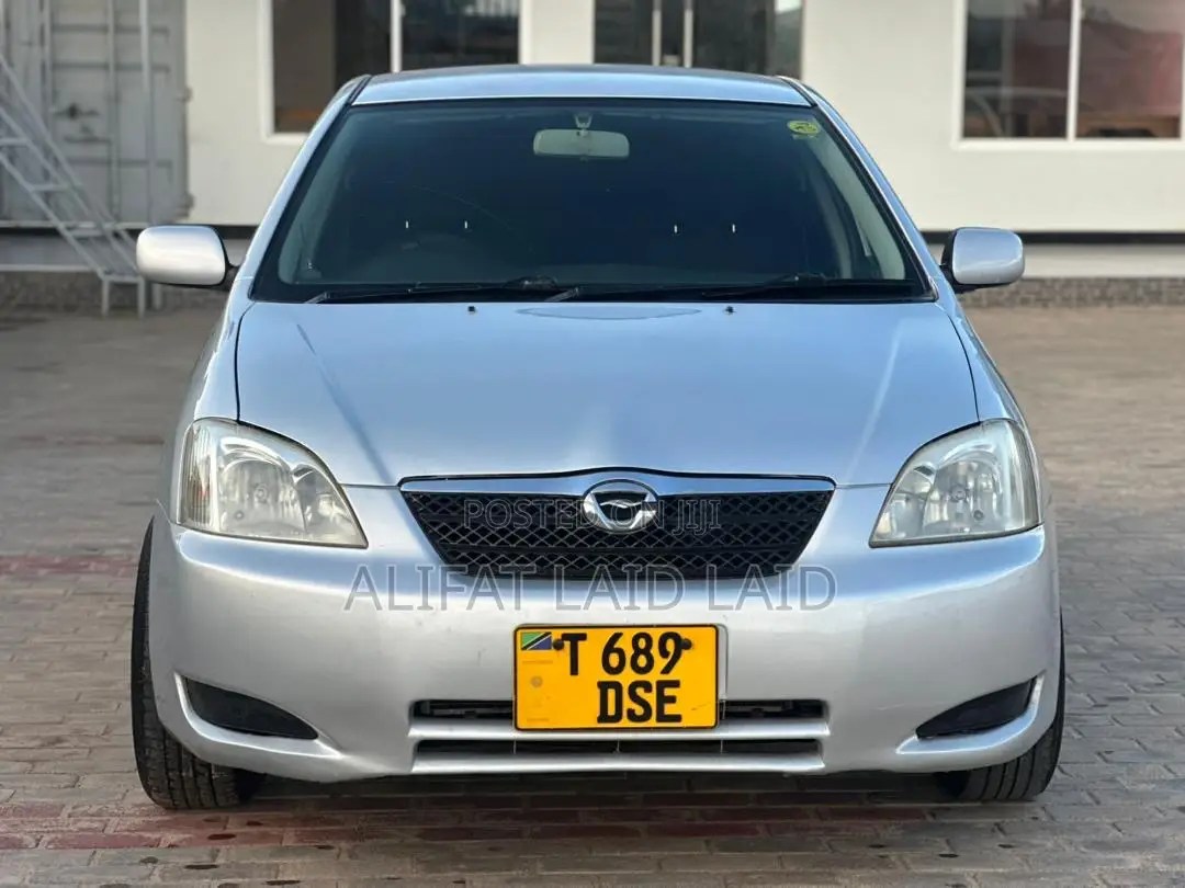 Toyota Allex 2004 Silver