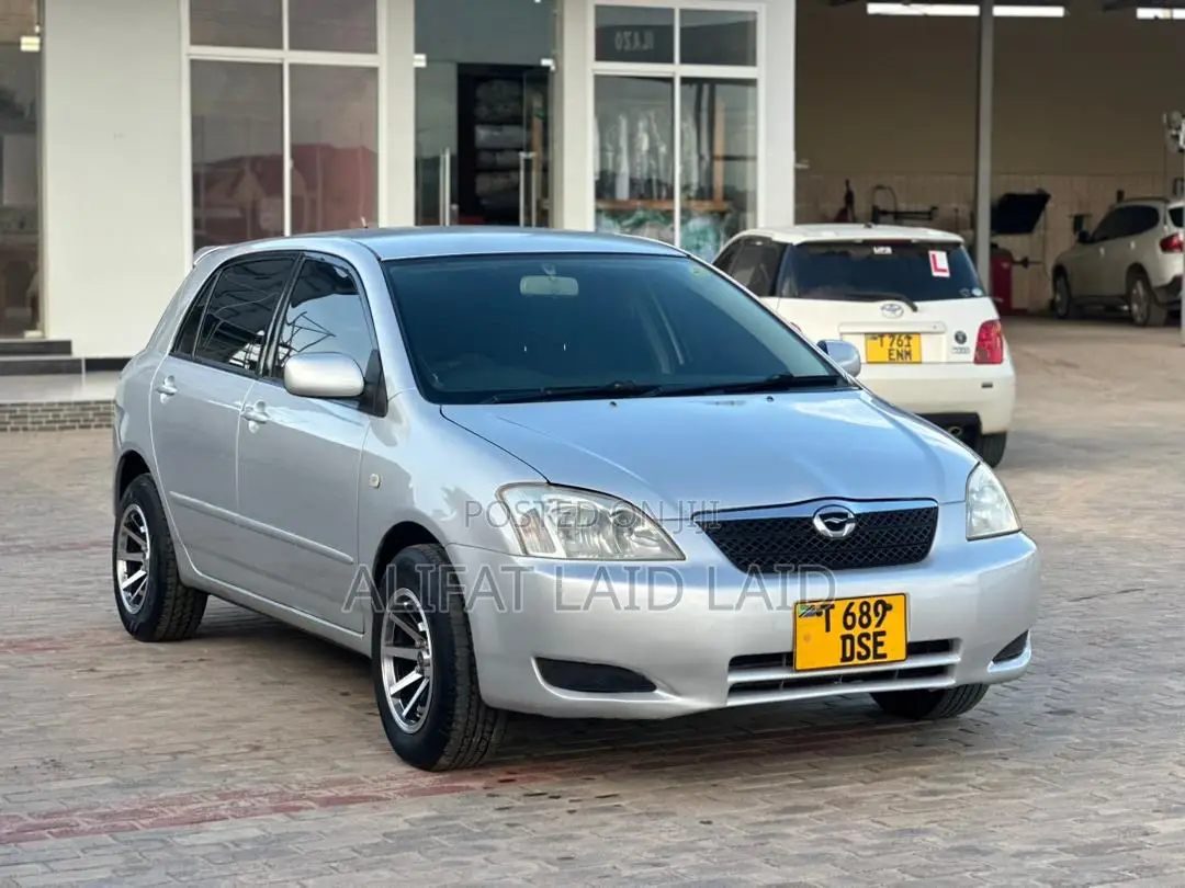 Toyota Allex 2004 Silver