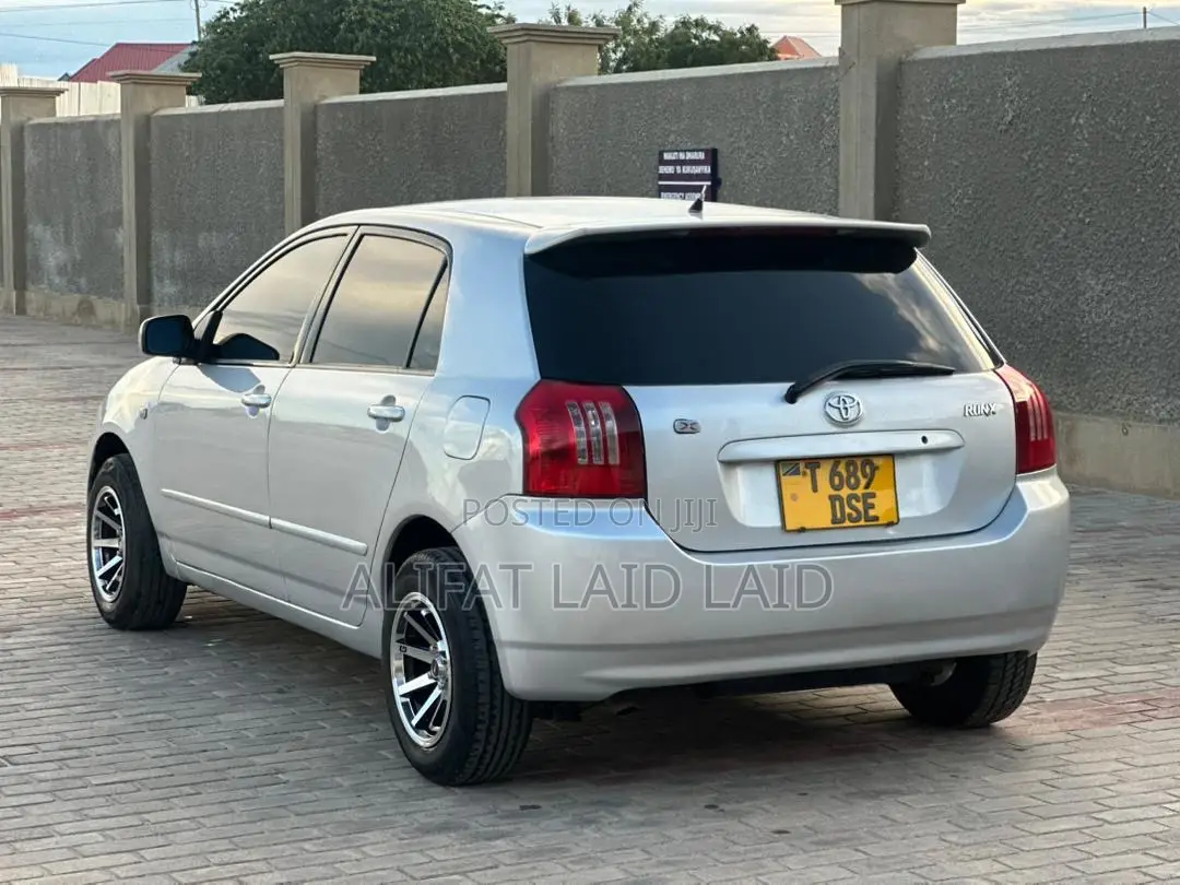 Toyota Allex 2004 Silver