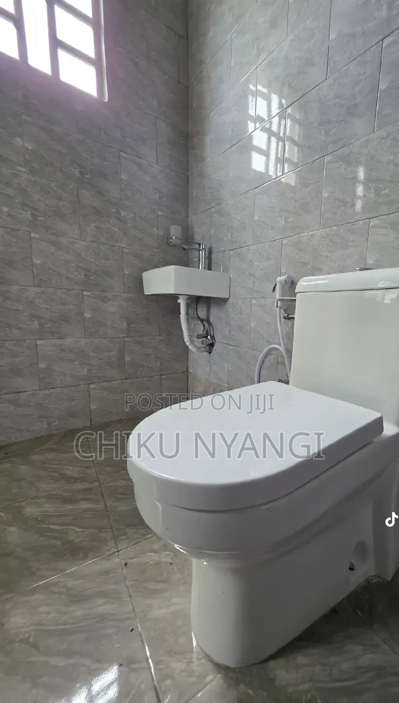 Furnished 1bdrm House in Chiku Nyangi, Central Business Area for rent